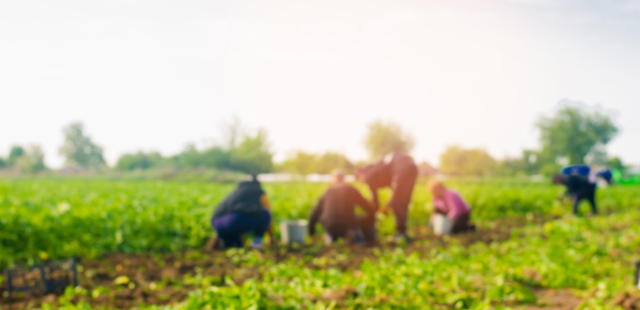 workers in agriculture blurred