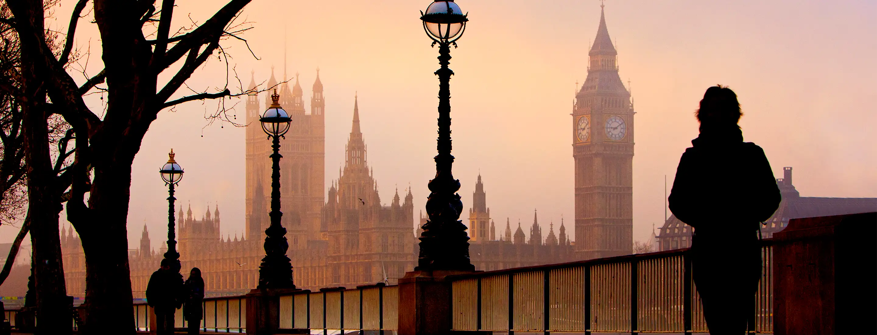 Brexit - Topic Page - in page banner